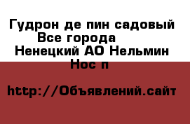 Гудрон де пин садовый - Все города  »    . Ненецкий АО,Нельмин Нос п.